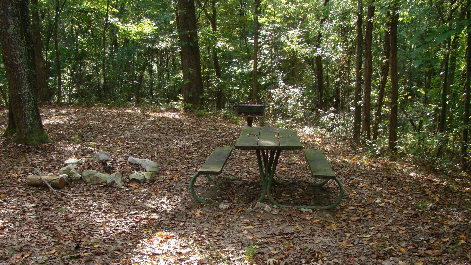 A picnic table and grill in the woods
