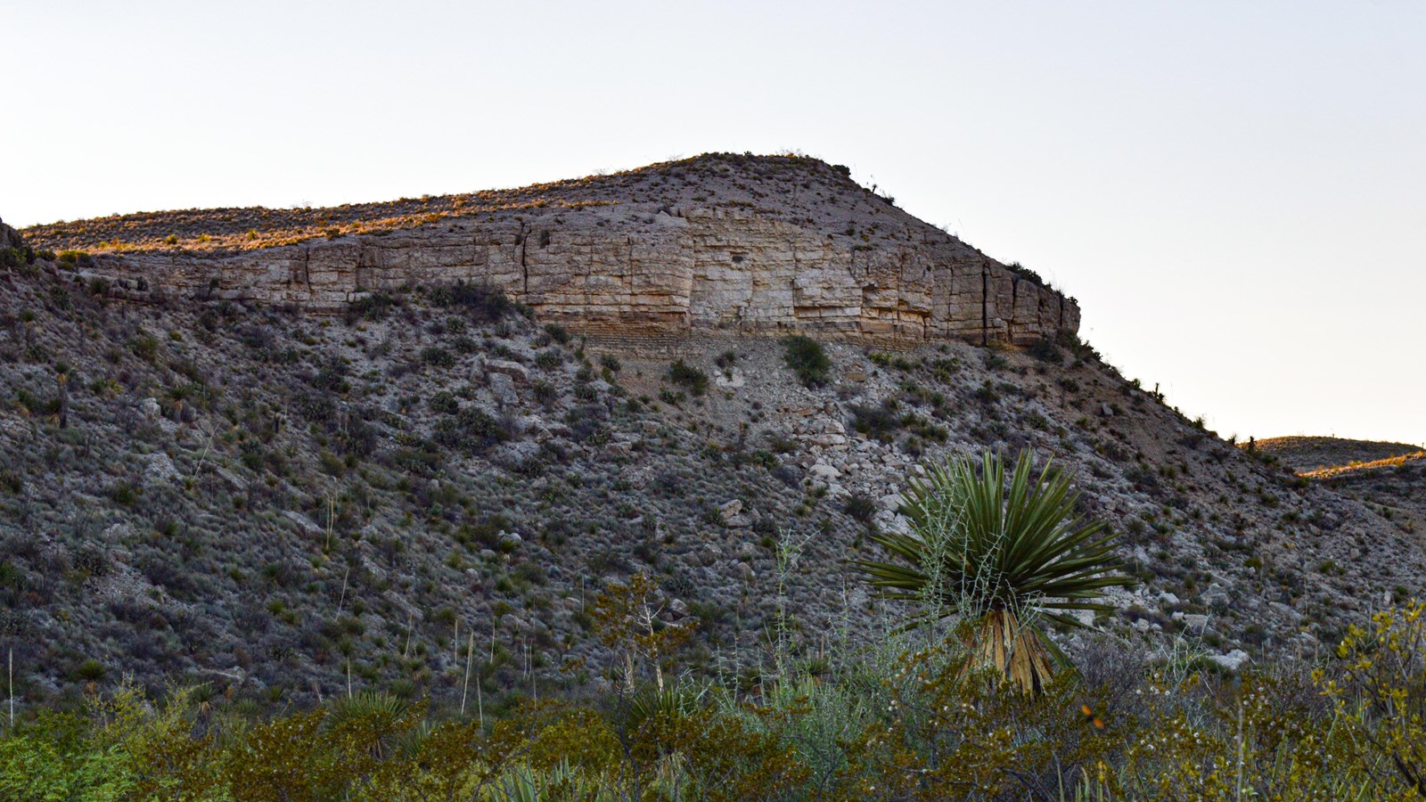 A cliff face with hard limestone rock rests on top of Del Rio clay, which forms a slope beneath.
