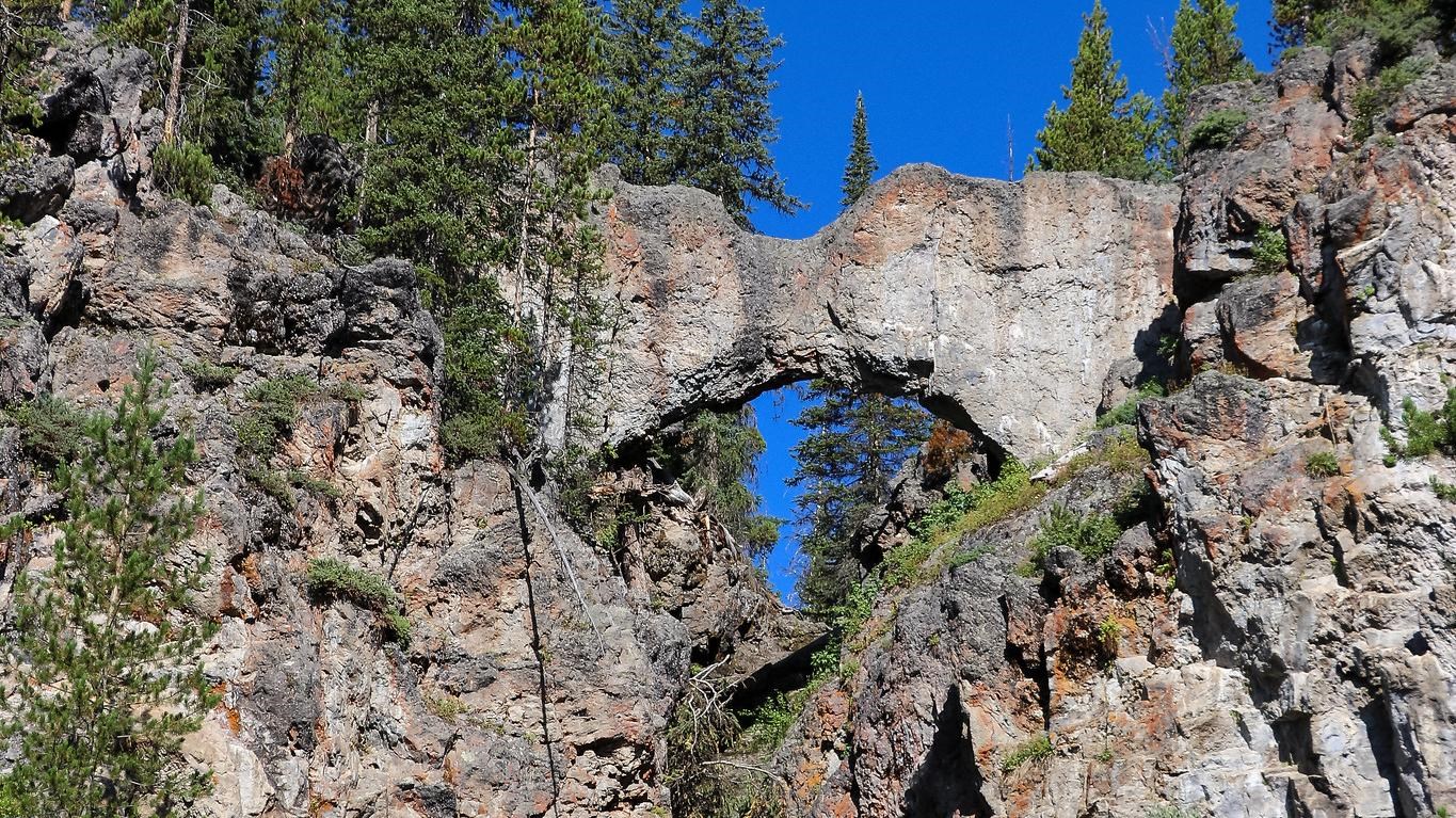 A natural bridge formation made of rock in a forest.