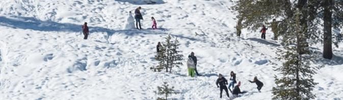 Families play in the snow on a hill with scattered trees