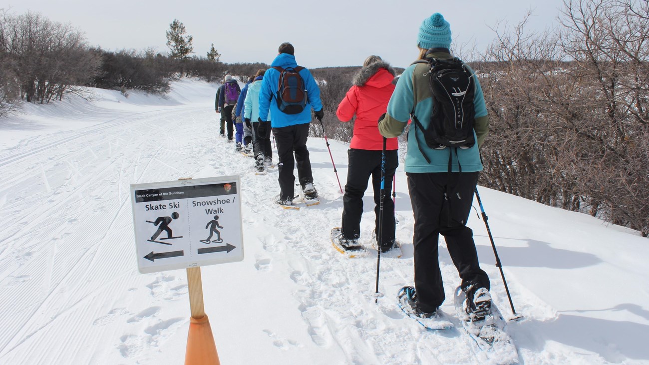 A line of people in different colored clothing snowshoeing on a snow-covered road