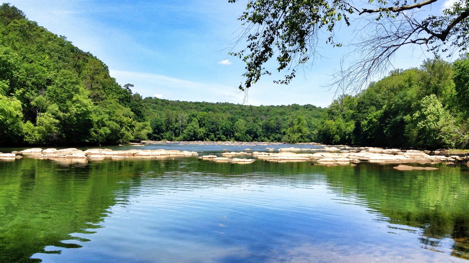 River surrounded by trees. 