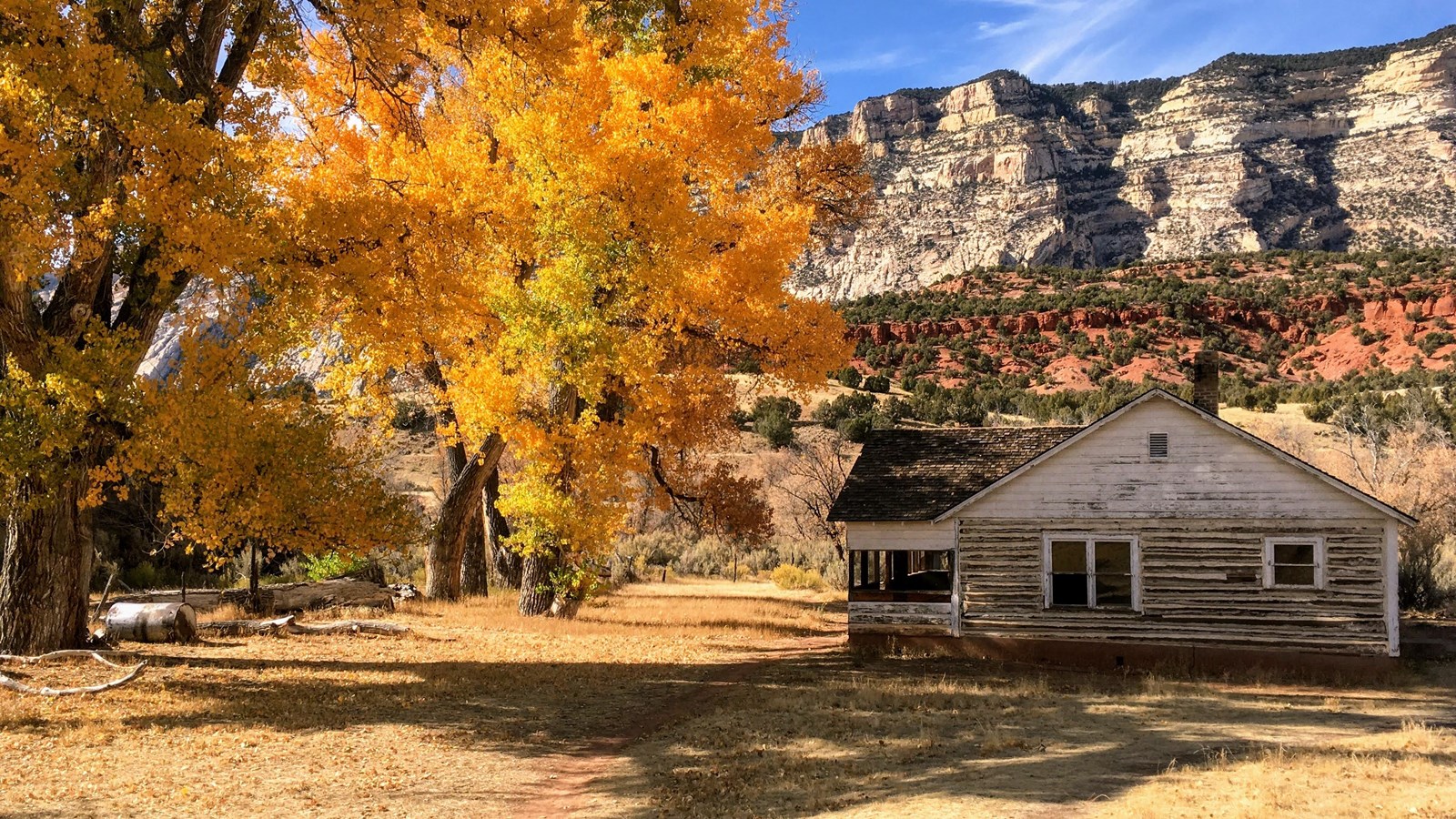 River cottonwood trees in yellow fall foliage shade the historic Chew ranch house.