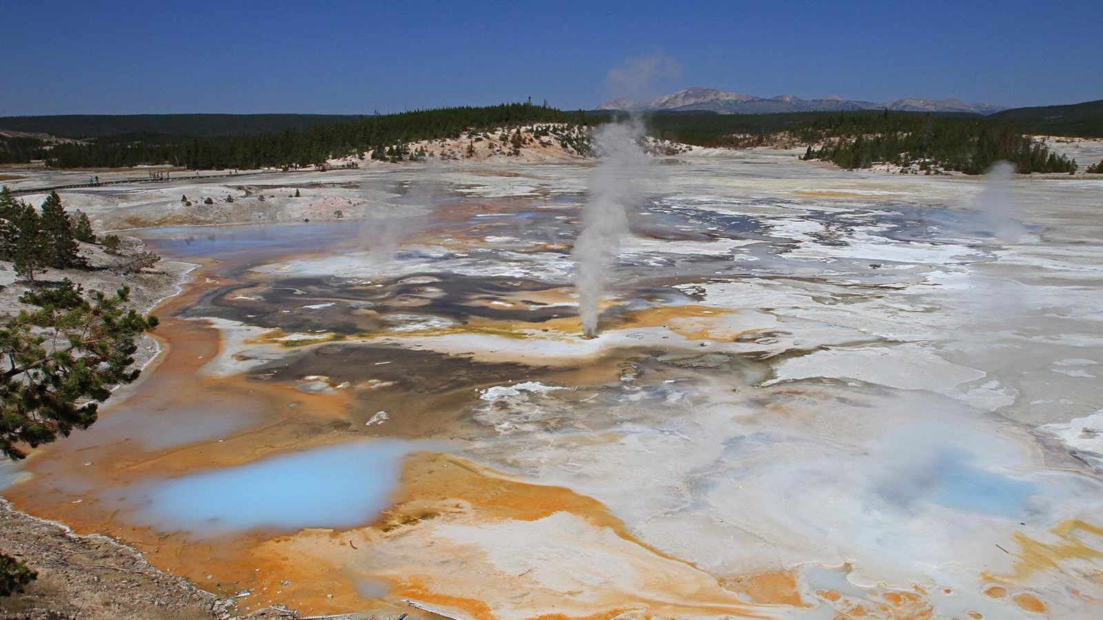 Overlooking a thermal basin with orange bacterial mats, milky hot springs, and steaming fumaroles.