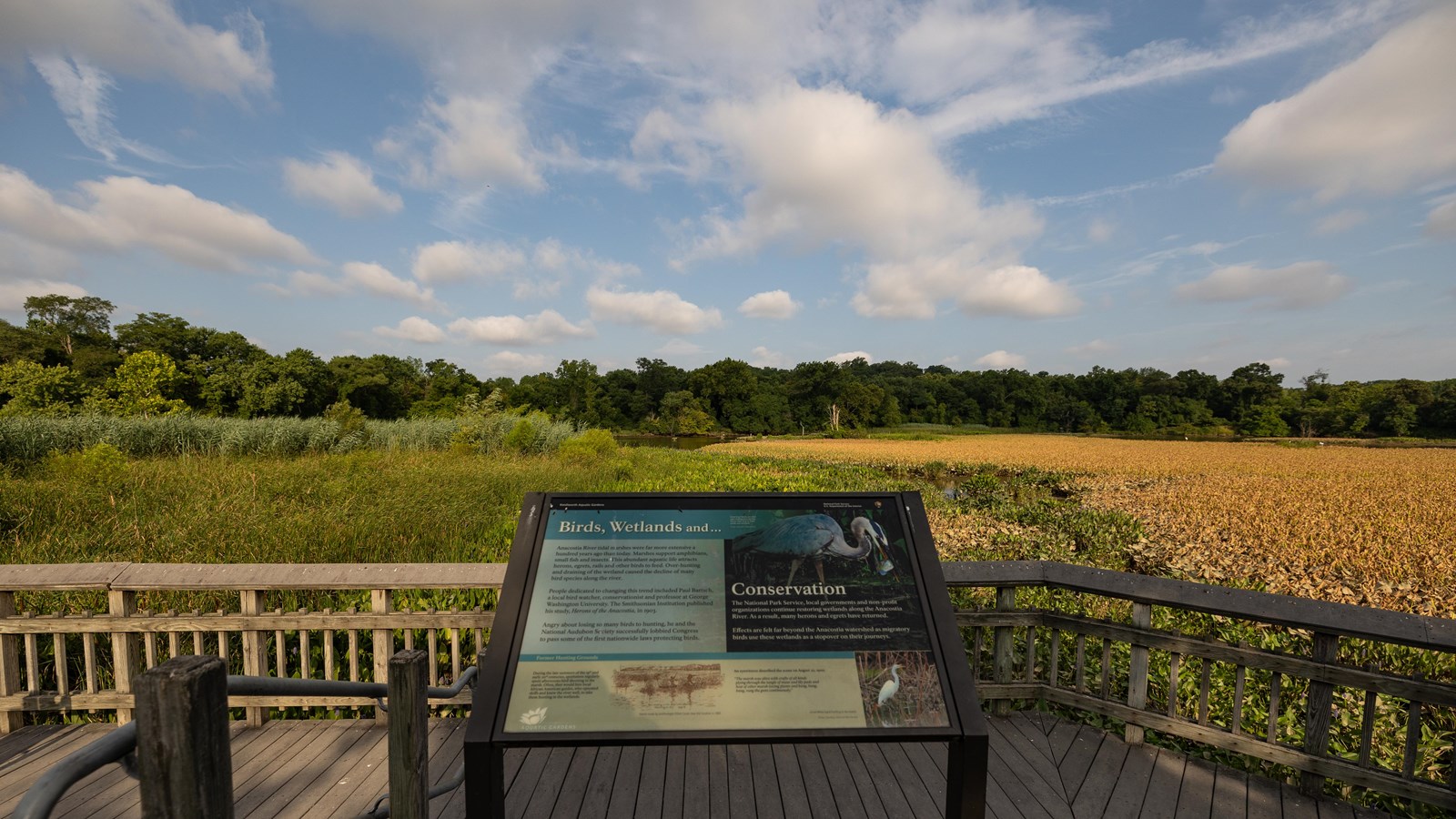 A viewing platform with an information panel in front of it