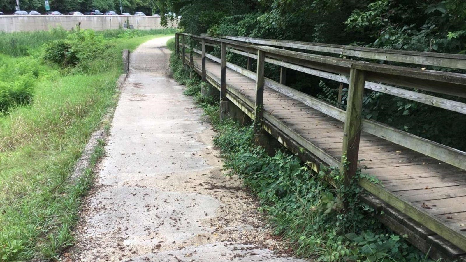 A paved path sits next to a wooden board walk.