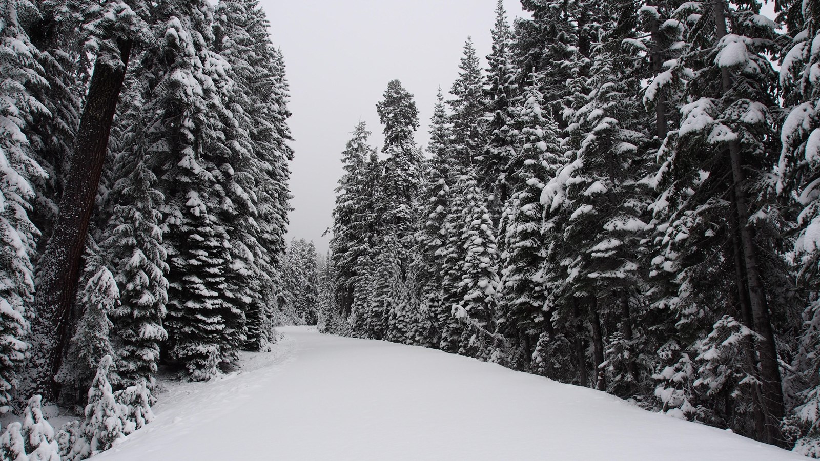 Several feet of snow accumulated on East Rim Ski Route