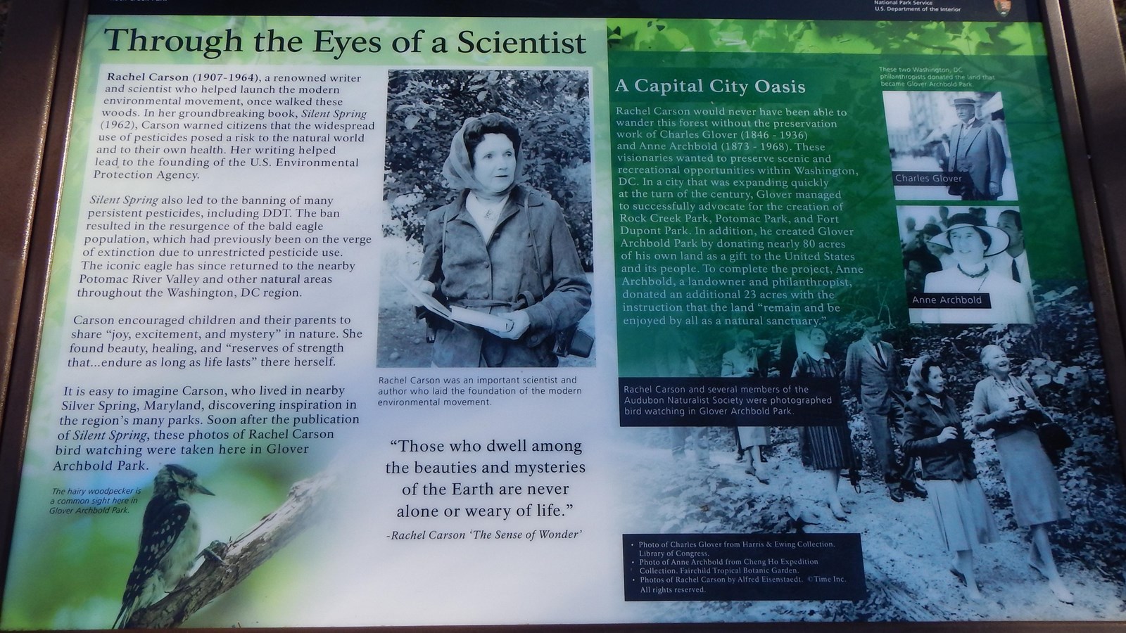 A green and white information panel about author and scientist Rachel Carson