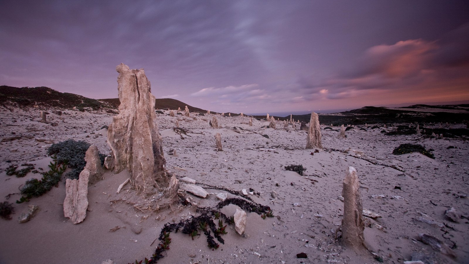white stumps in sand with sunset sky