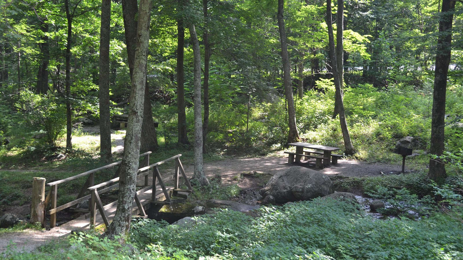 A wooden bridge leads over a small creek to a picnic table in the shade of tall trees. 