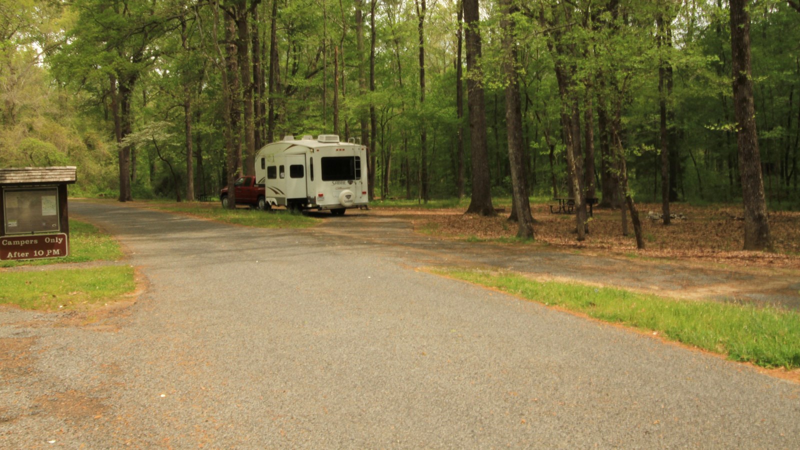 A wooded area with an RV in the distance.