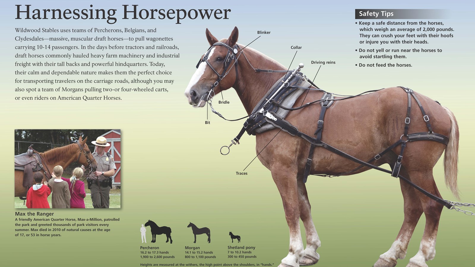 Title: Harnessing Horsepower in bold; background image of a horse.