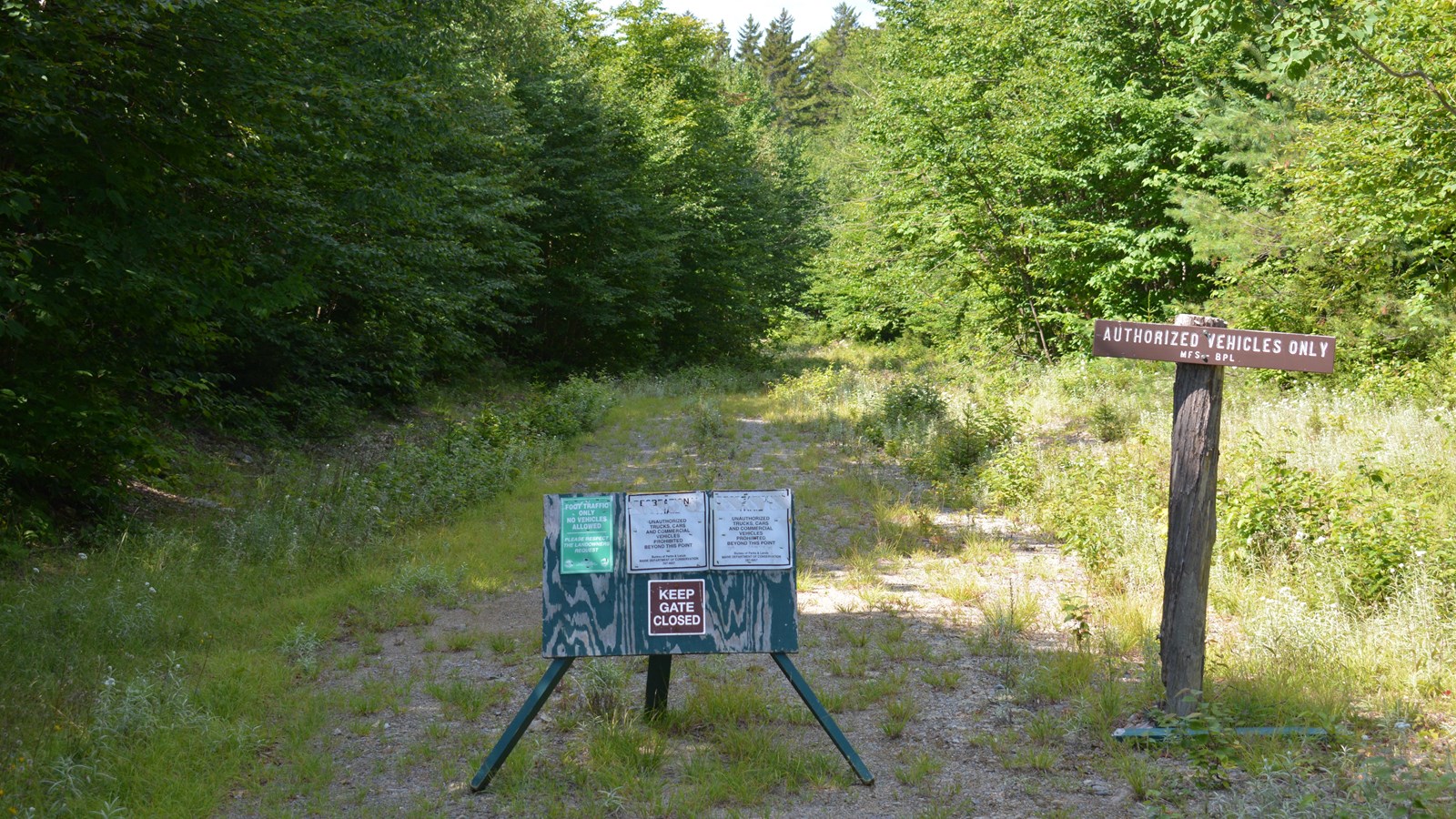 Rugged dirt logging road with wooden trailhead sigh blocking vehicles. Road surrounded by forest.