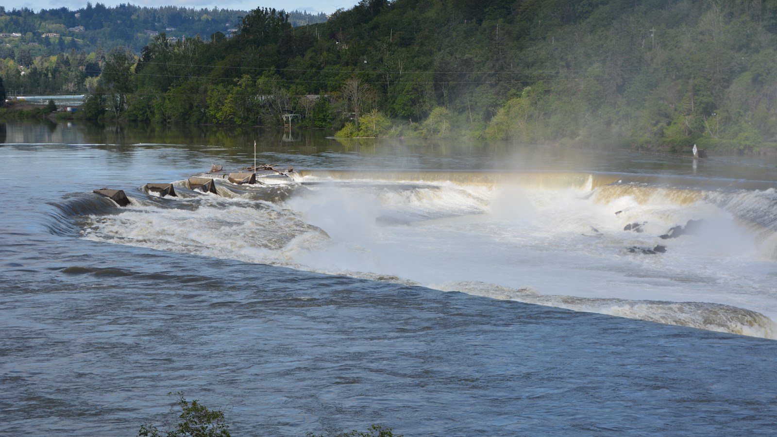 Willamette Falls