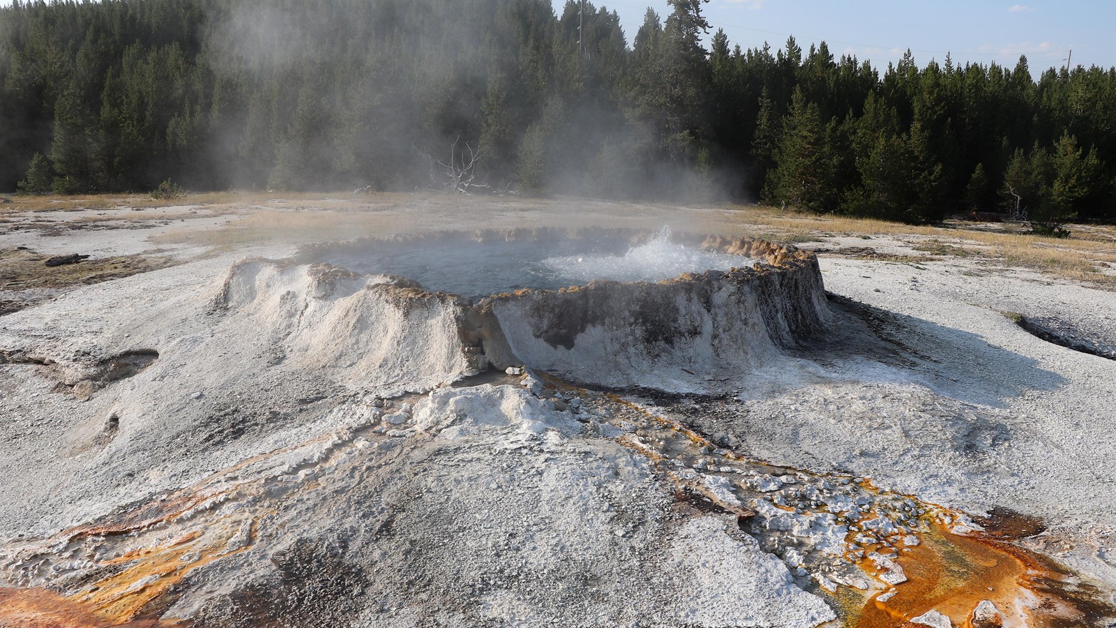 Steam rises off of water splashing out of a circular rock formation in a geyser basin.