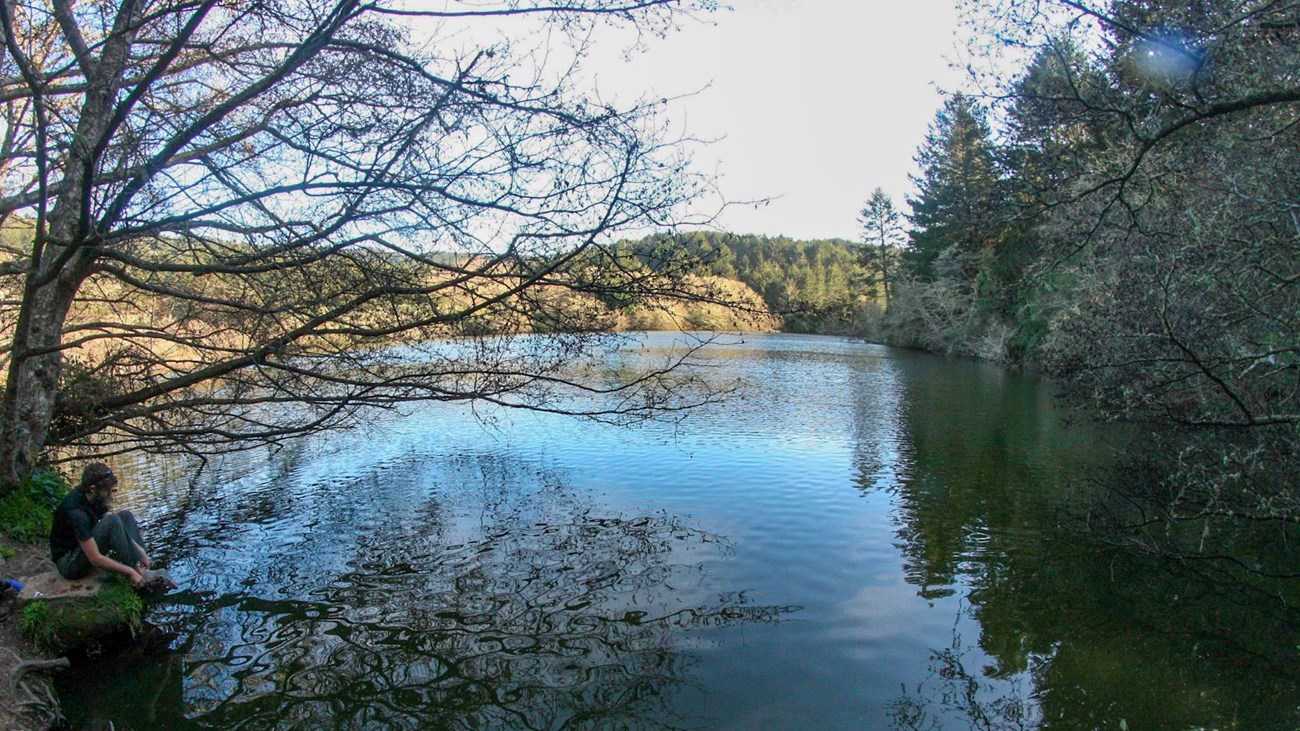 A hiker sits beside a secluded lake, surrounded by trees and white flowered plants