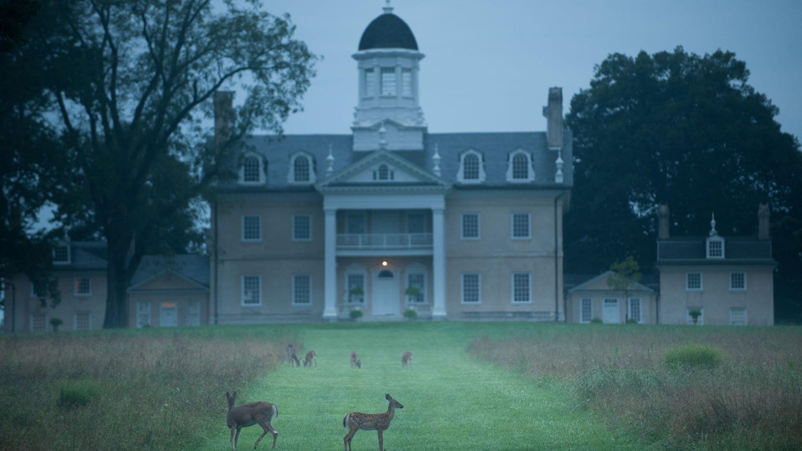 The Hampton mansion on a cloudy day with deer in front of it.