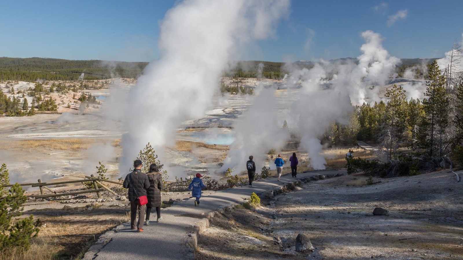 People walk down a paved trail alongside steaming vents in a geyser basin.