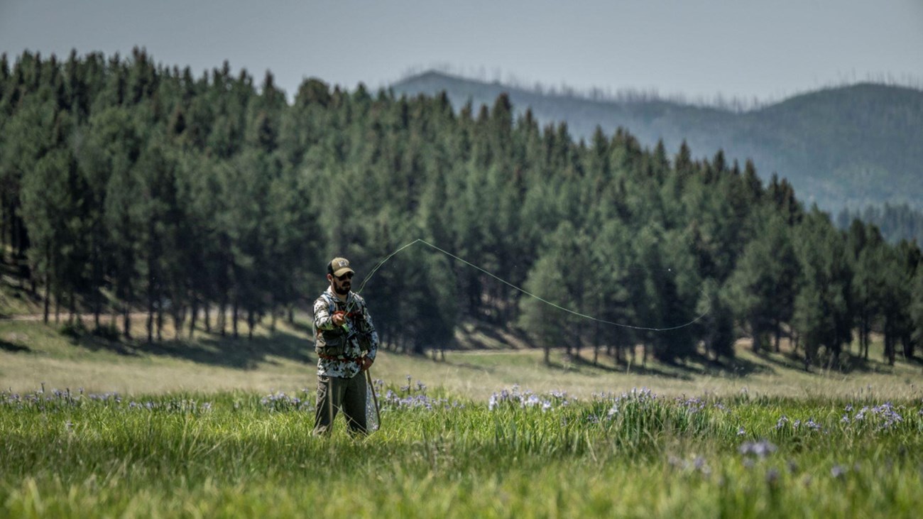A man flyfishing on a narrow stream through a montane meadow full of purple wildflowers.