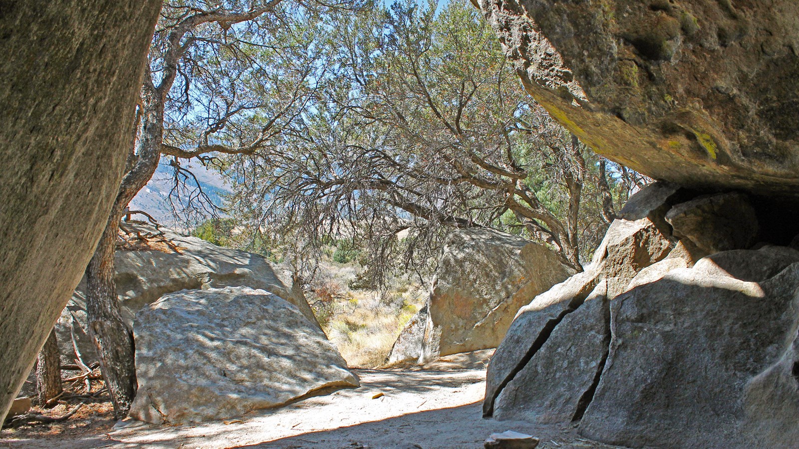 View from inside a rock cave structure, looking out toward mahogany trees and sunshine.