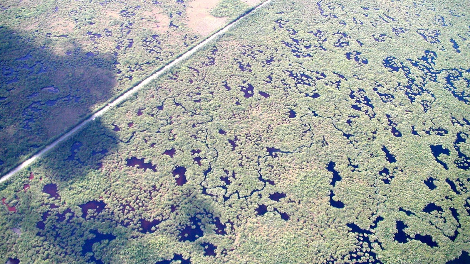 An aerial view of Hells Bay canoe trail, a snaking blue canoe trail surrounded by dense tree canopy