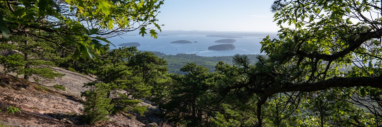 View of a bay, islands, and a forest below from a mountain ridge line