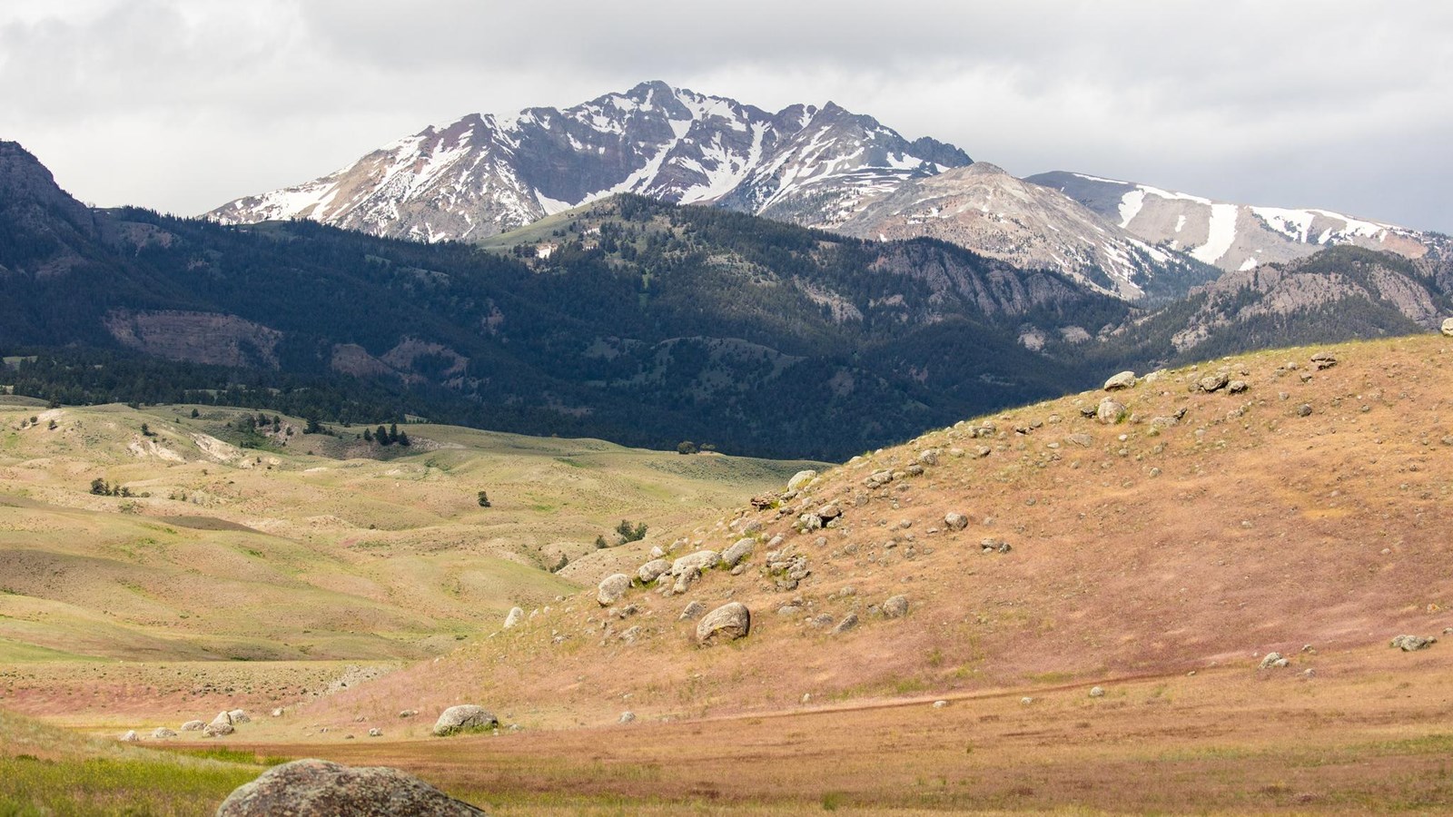 A rocky mountain peak emerges behind rolling, grassy hills.