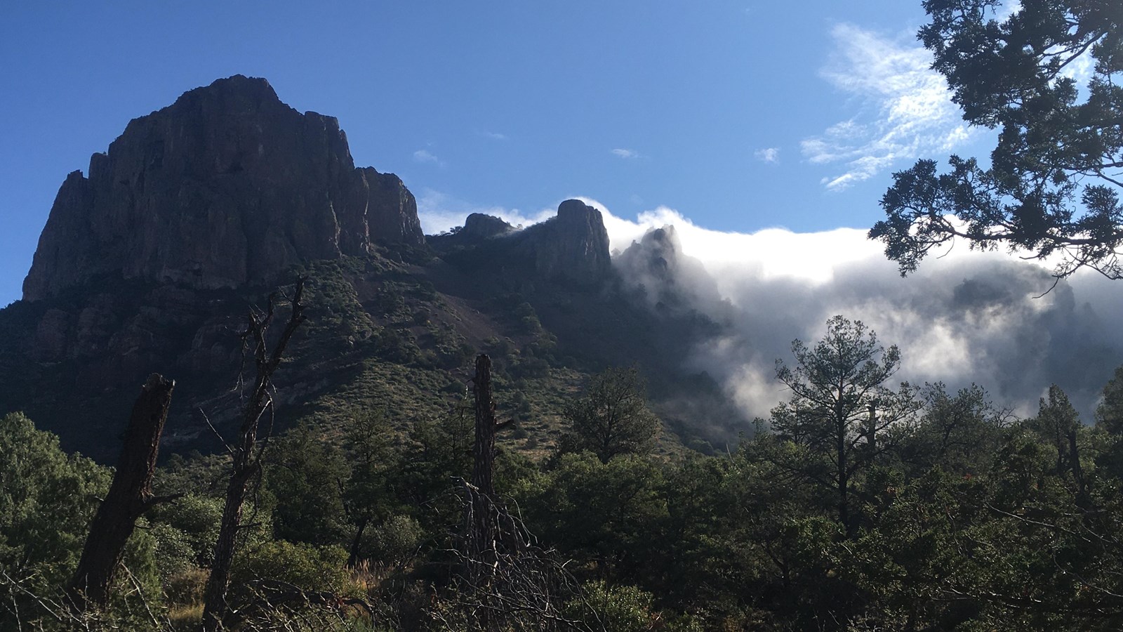 Clouds sit on the tops of forested mountain peaks.