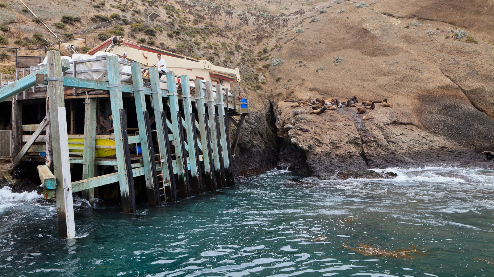 wood dock built into the rocky coast