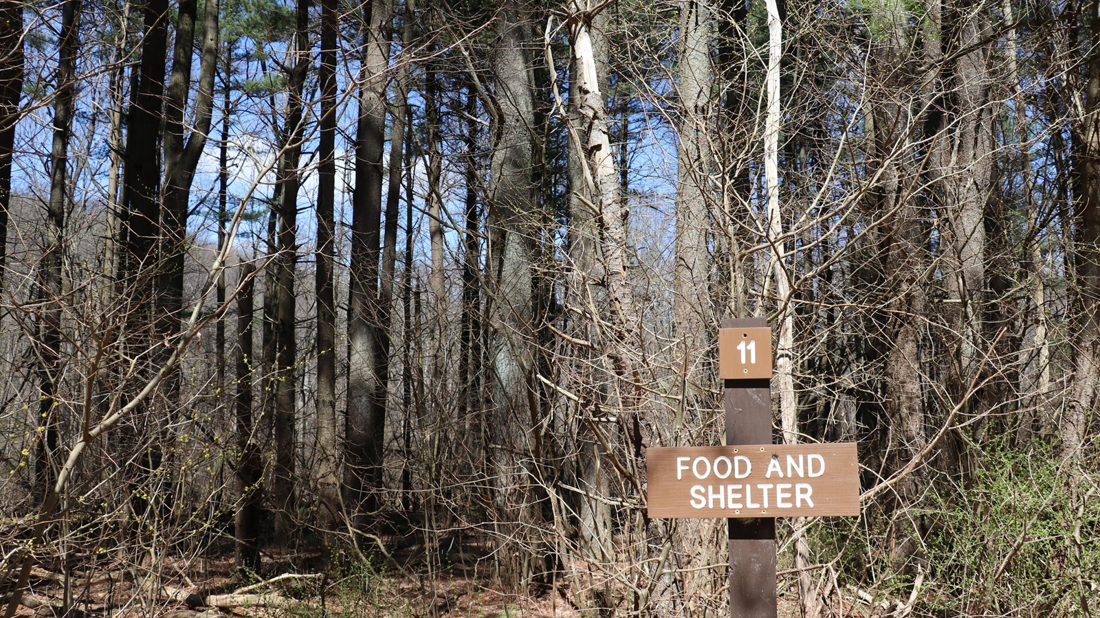 A brown wooden sign reading