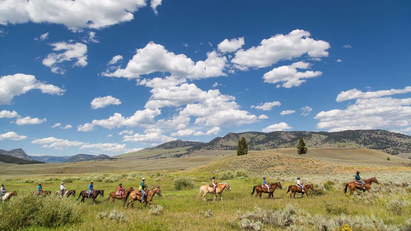 Several people on horseback ride in a line through a sagebrush meadow.
