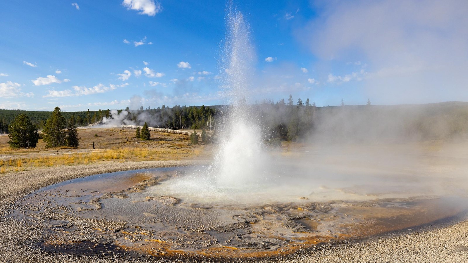 Water is thrown into the air by an erupting geyser in a thermal basin.
