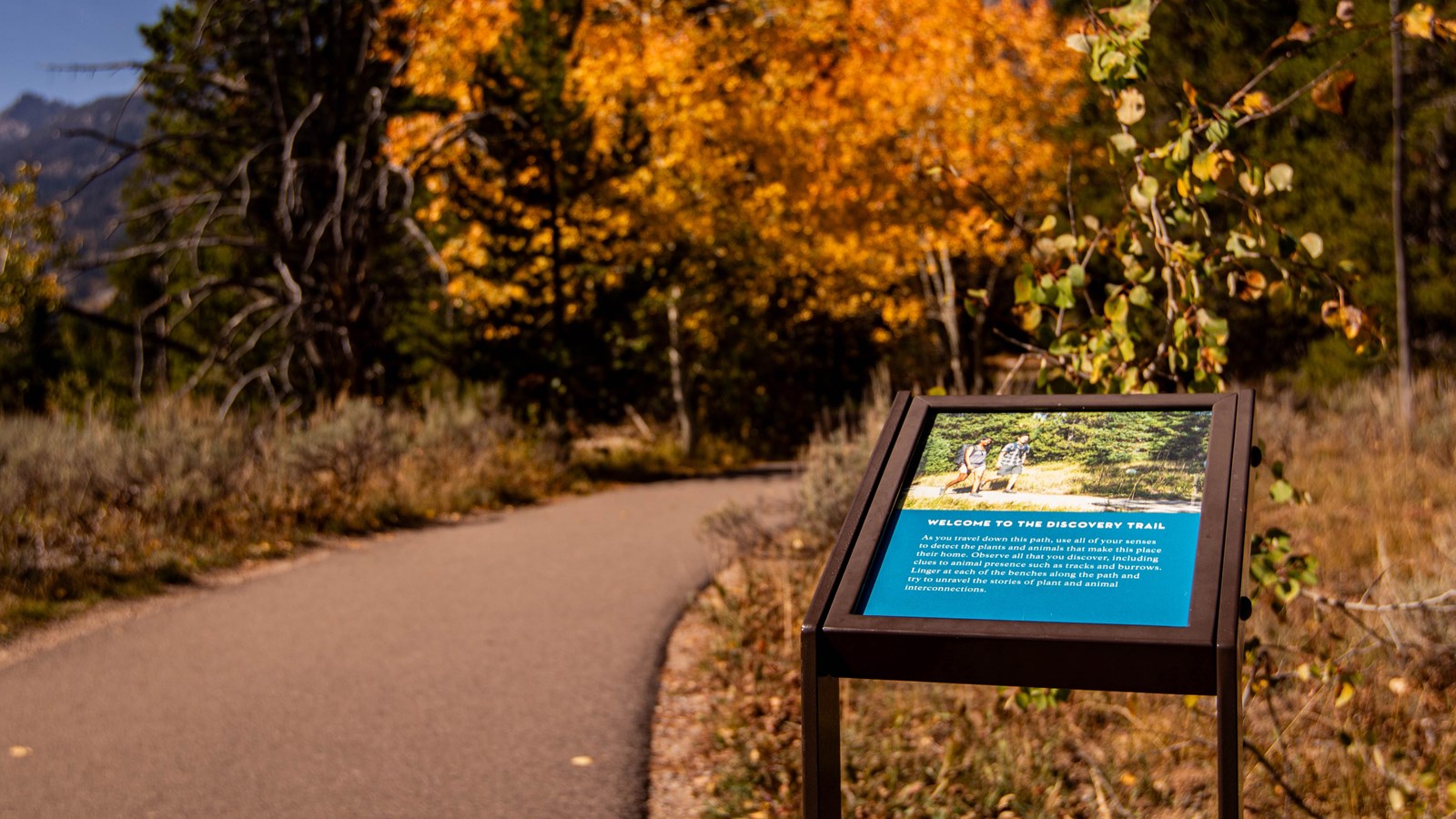 A small sign introducing the beginning of the Discovery Trail.