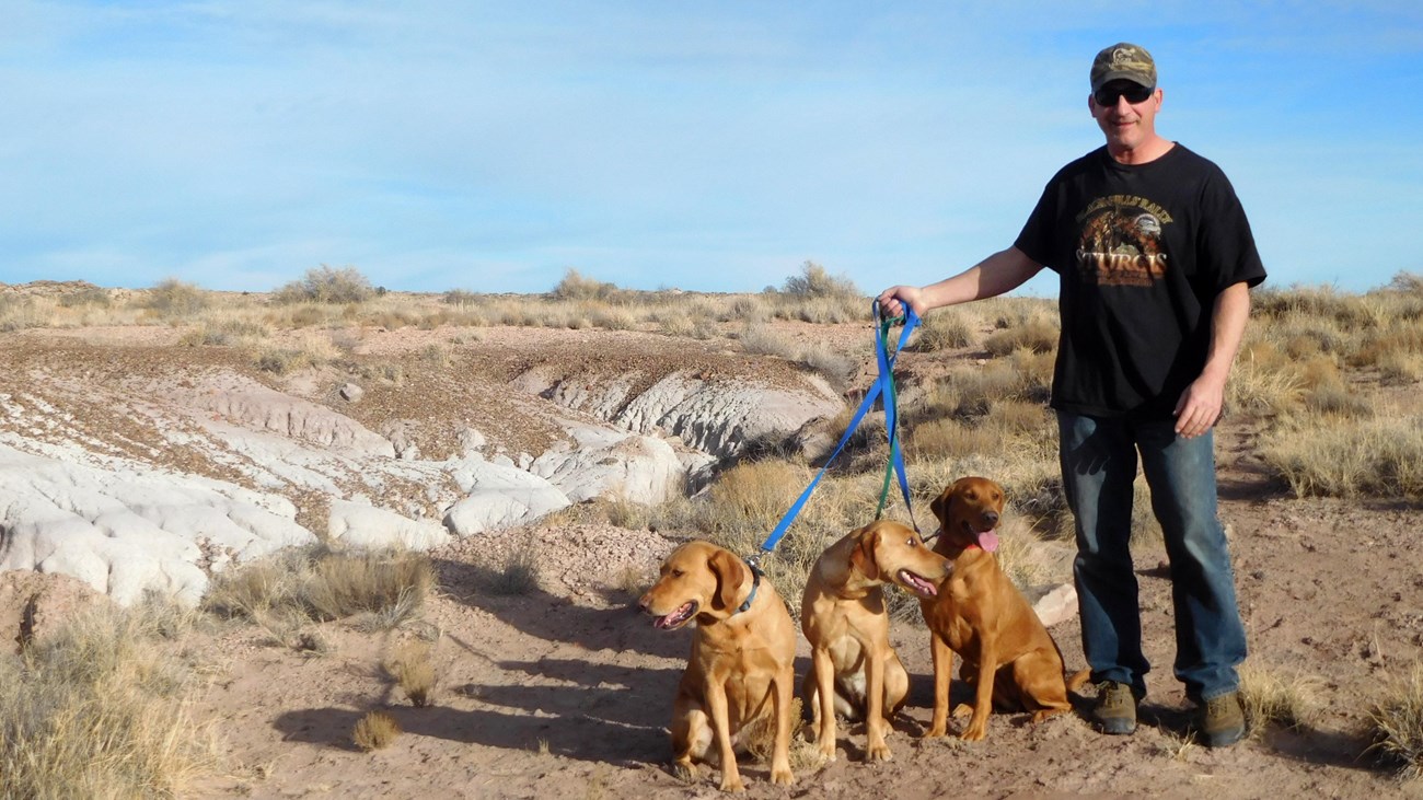 Man walking three dogs in badlands with blue sky.