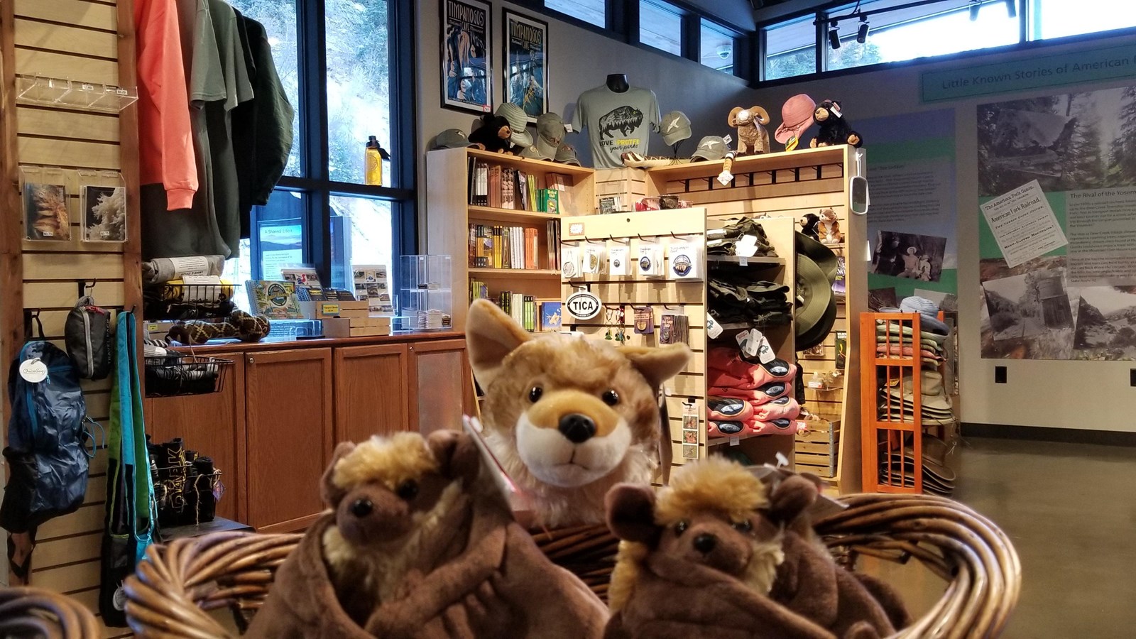 Stuffed Animals in front of books