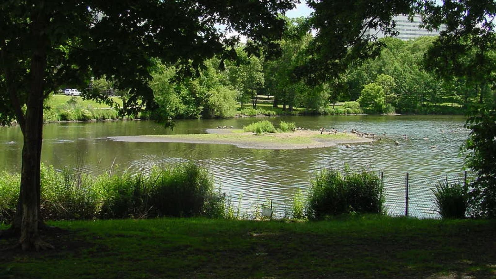 Body of water with trees and shrubs around it, with small island in the center
