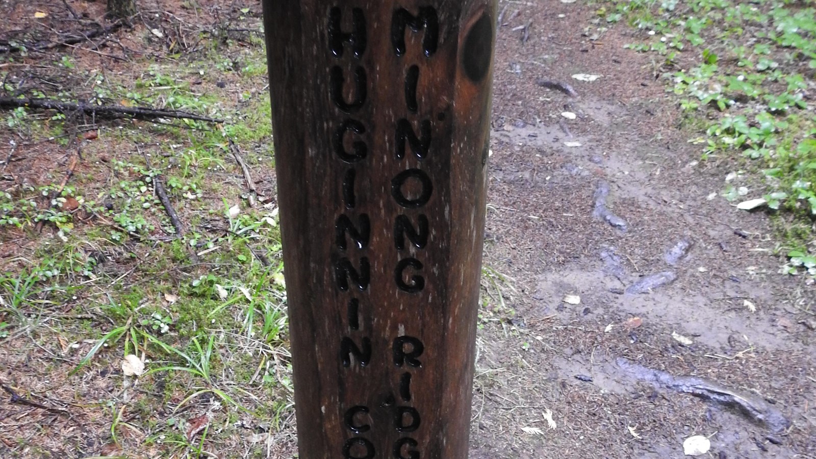 Wooden trail marker for the Minong Ride Trail, surrounded by rocks and forest. 