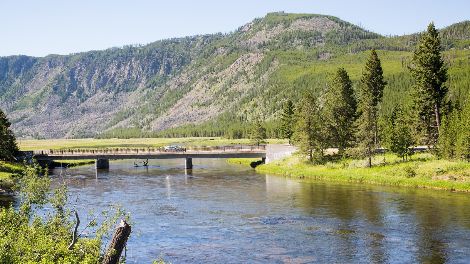A road crosses a river on a bridge and travels through a forest on the edge of a meadow.