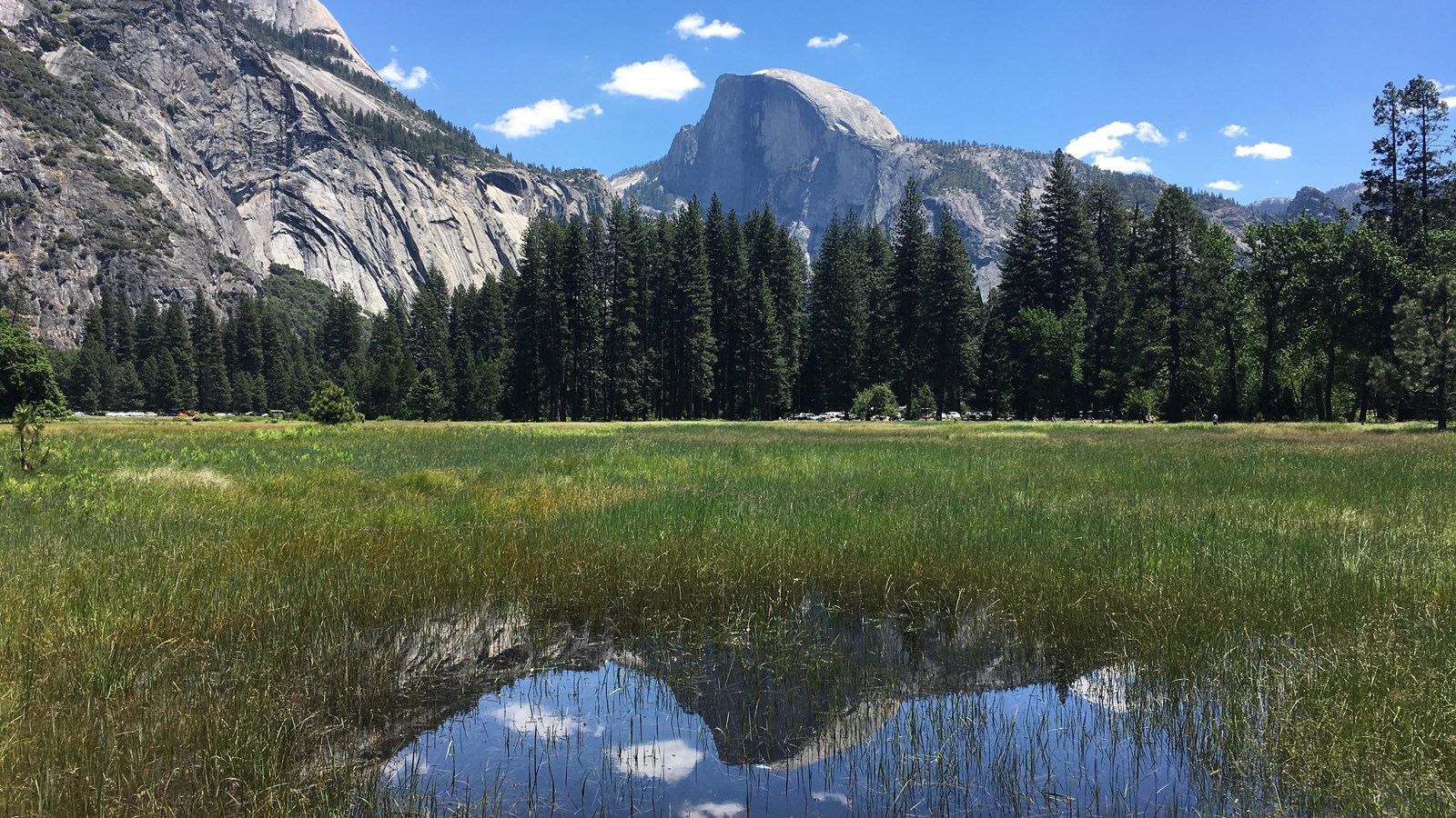 Half Dome reflects in water pooled on Cook\'s Meadow