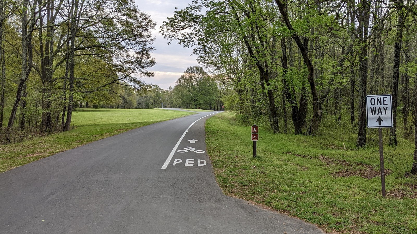 One way road with a bicycle lane on the right.