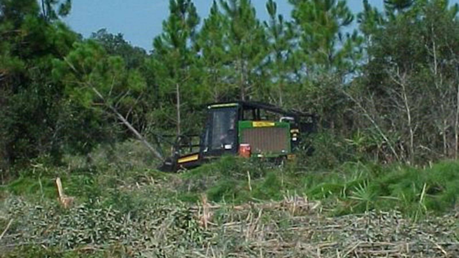 heavy equipment is tearing down plants and bushes to make the firebreak in this dated image