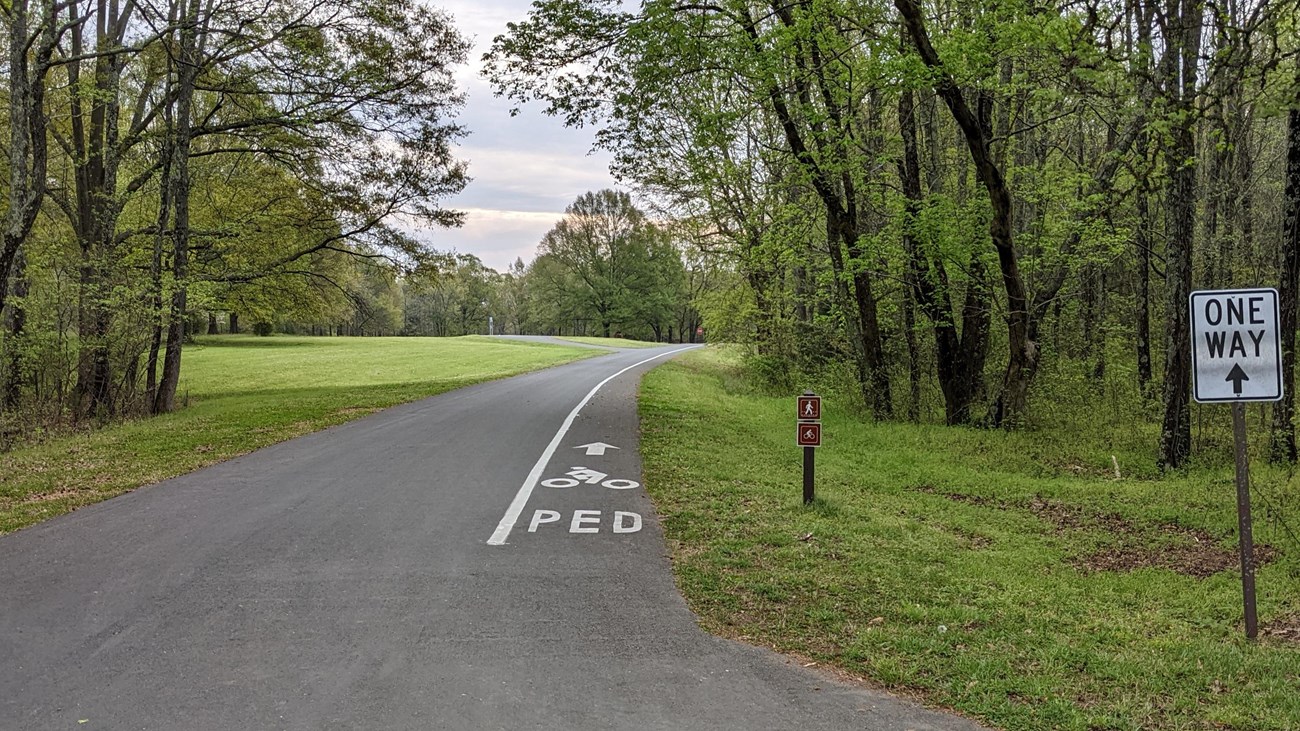 One way road with a cycling lane on the right side.