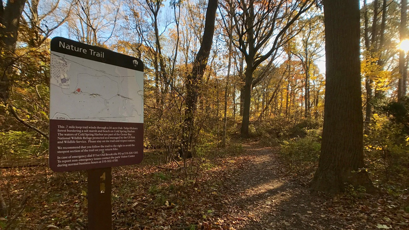 A trail with yellow autumn leaves on trees and a sign in the foreground with