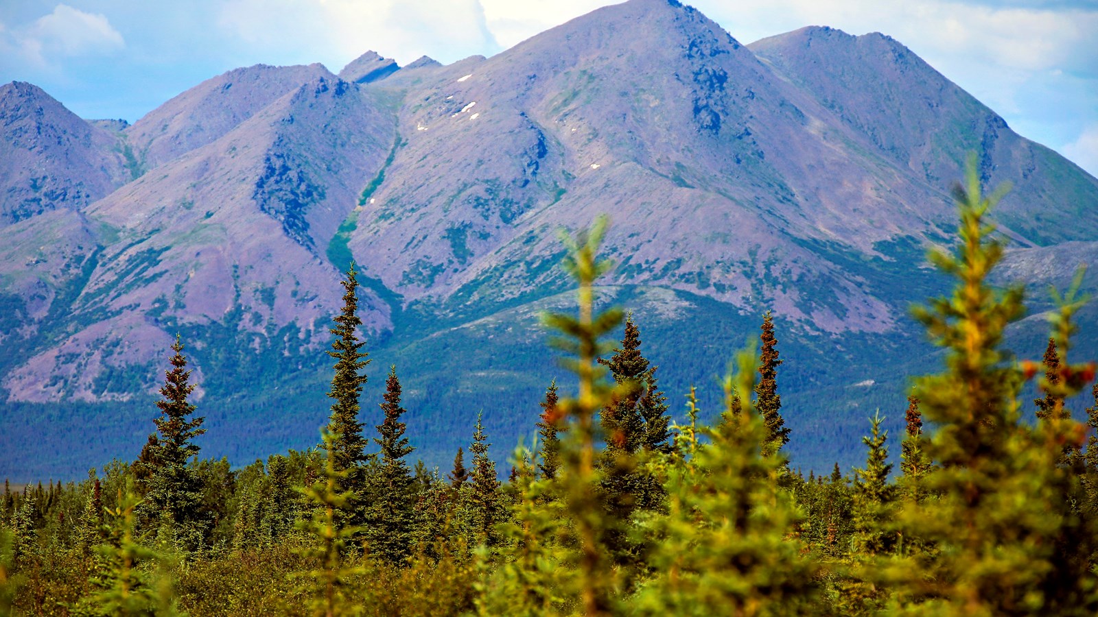 mountains tower in the background with green trees in the foreground