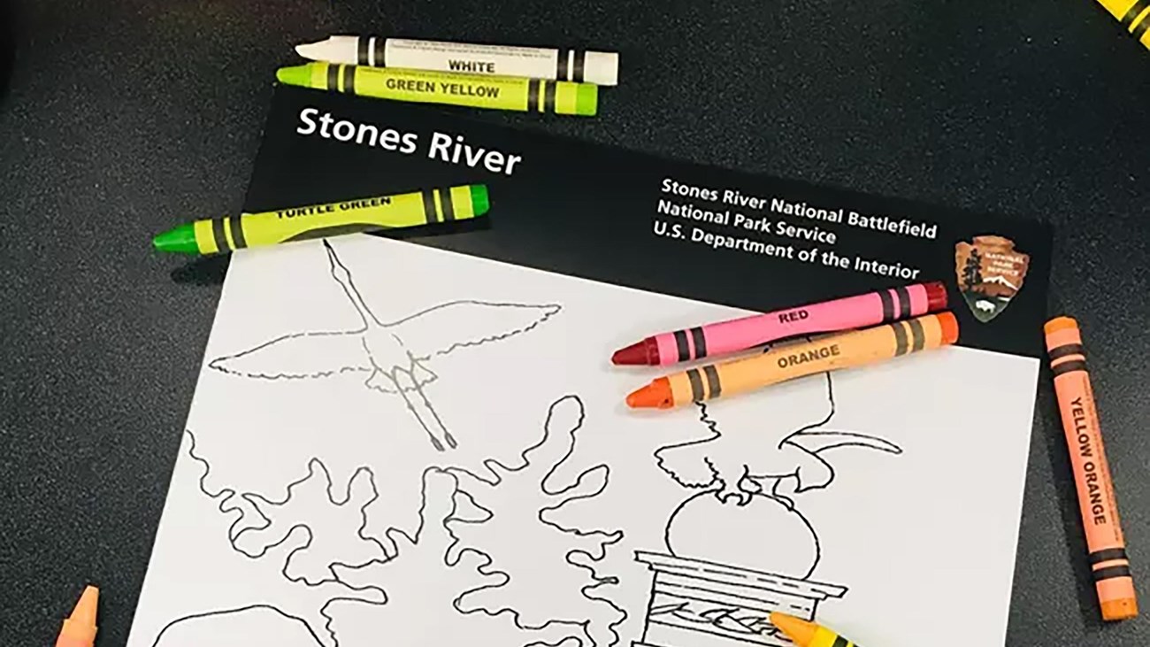 Crayons of several colors on a book with drawings of monuments, plants and animals.
