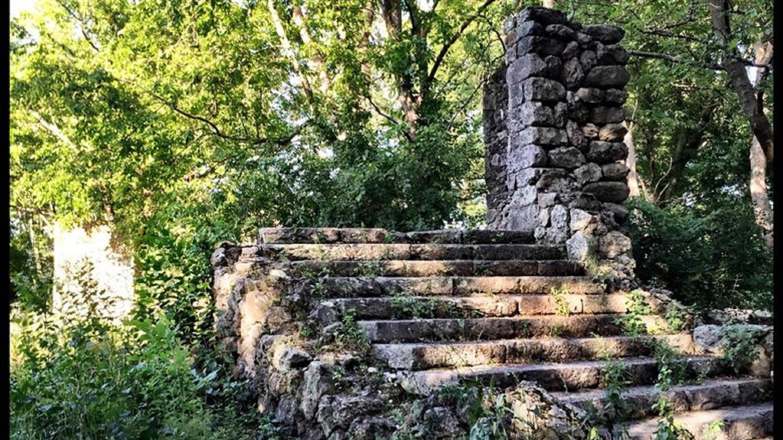 Stone steps and pillar surrounded by trees and shrubs. Stones like ruins.