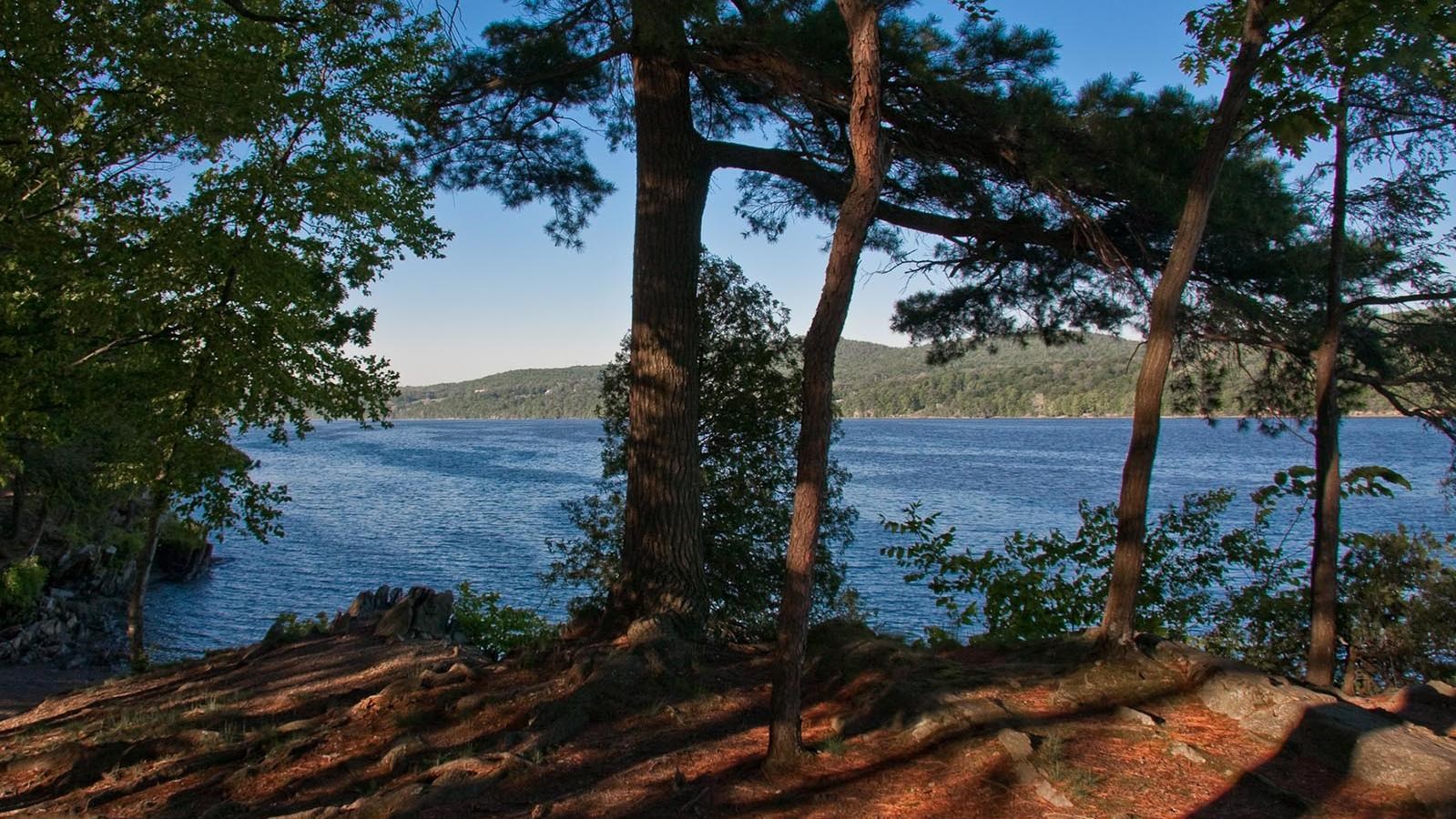 A wooded space along the edge of a vast river.