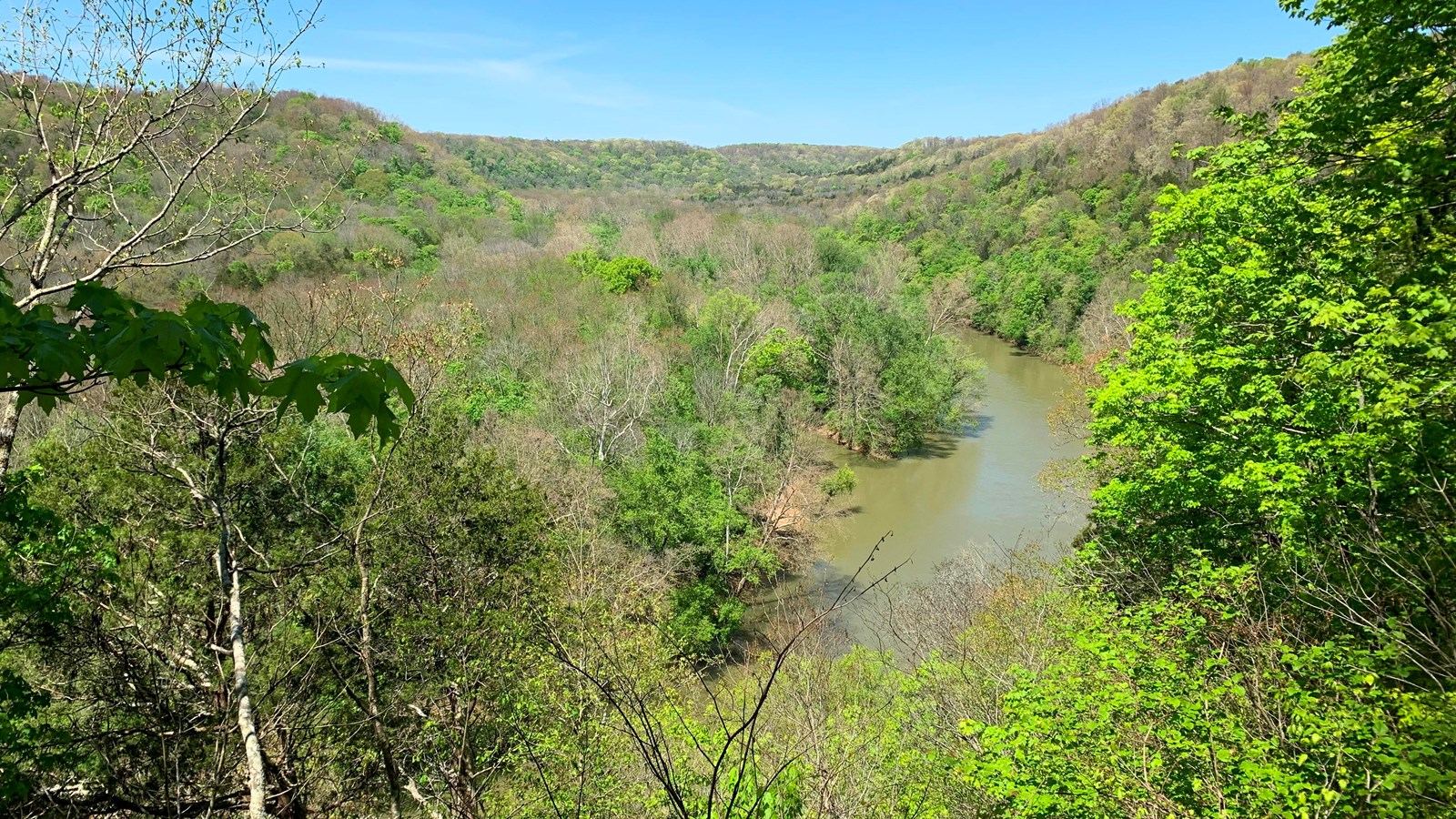 Bright green forested hills lead down to a murky wide river with a blue sky in the background