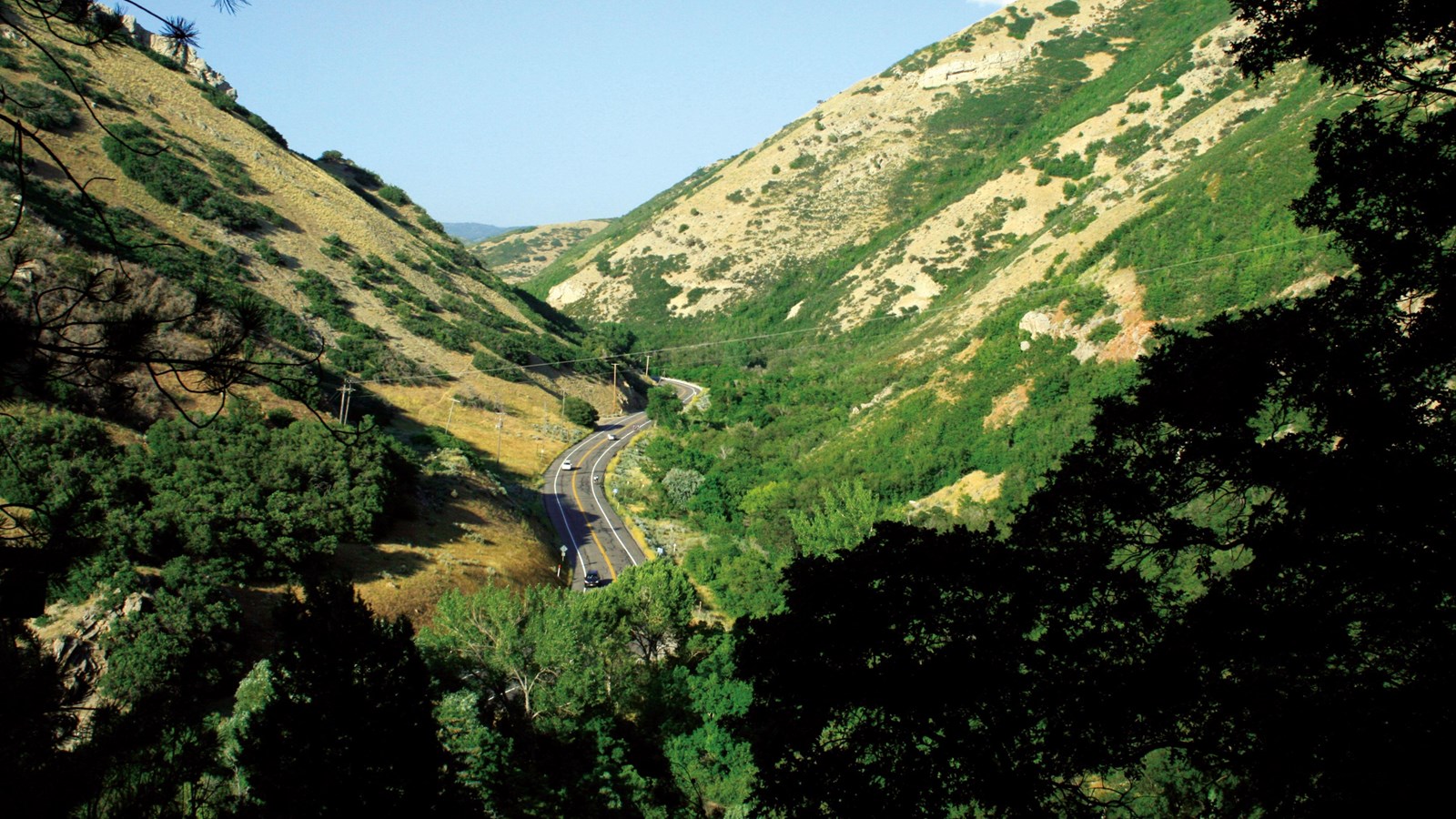 Looking down onto a paved road that winds through a vegetated canyon.
