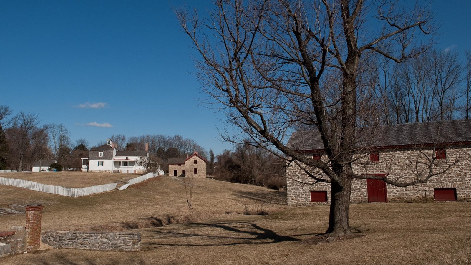 the view looking towards the farm of the park with the farm buildings